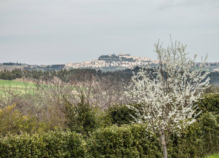 Agriturismo Levandara